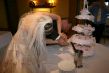 IMG_1664.JPG